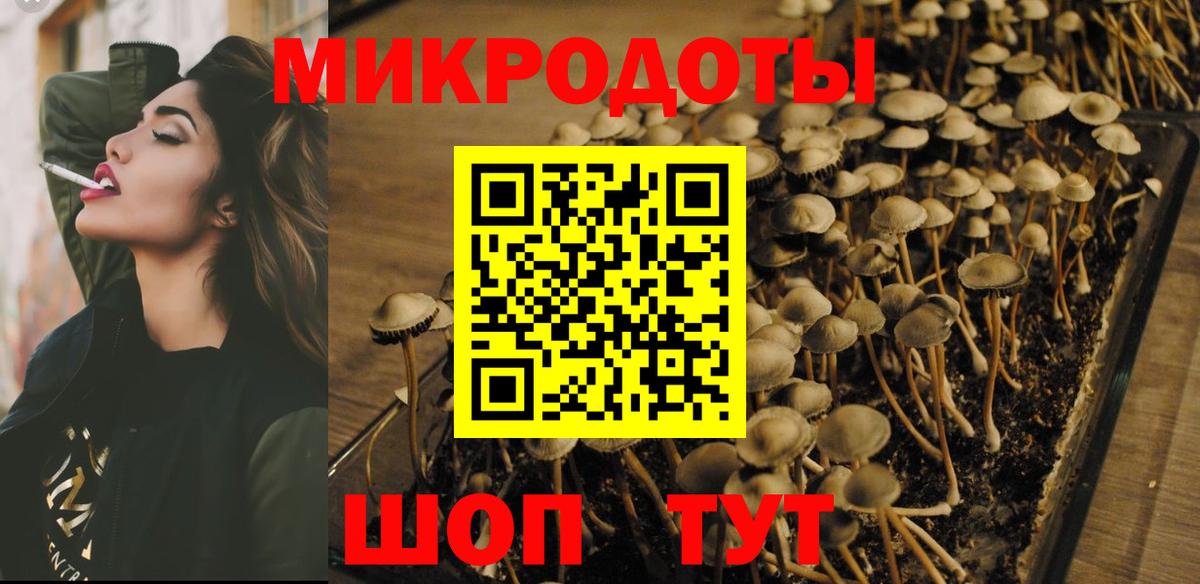 Псилоцибиновые грибы MAGIC MUSHROOMS Каменка