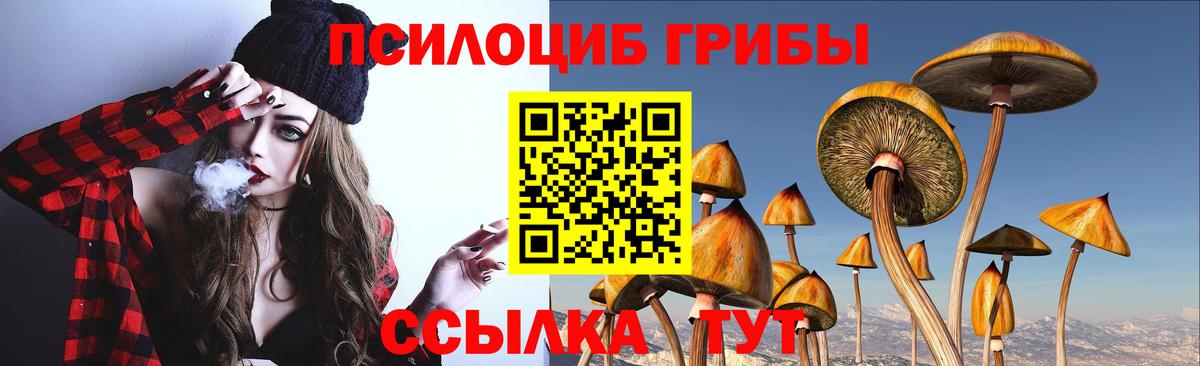 Каменка  Галлюциногенные грибы Psilocybine cubensis  Галлюциногенные грибы прущие грибы  Вход с VPN 